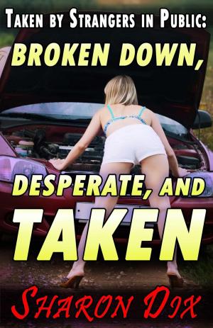 Book cover of Broken Down, Desperate, and Taken