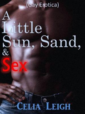 Cover of the book A Little Sun, Sand and Sex by Choker Guy