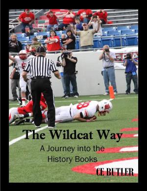 Cover of the book The Wildcat Way by MIKE - aka Mike Raffone