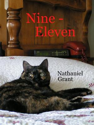 Book cover of Nine - Eleven