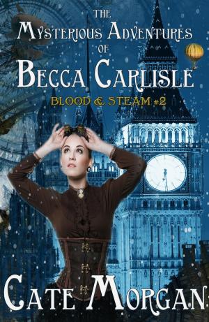 Cover of The Mysterious Adventures of Becca Carlisle