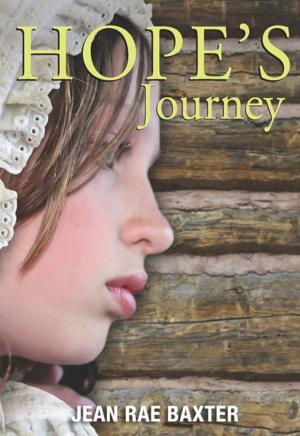 Cover of the book Hope's Journey by Rhodea Shandler