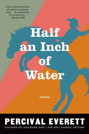 Cover of the book Half an Inch of Water by Ander Monson