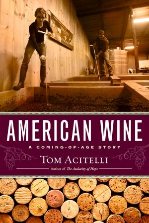 Cover of the book American Wine by Patrick Parr, David Garrow