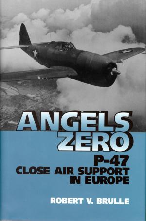 Cover of the book Angels Zero by F. Robert van der Linden
