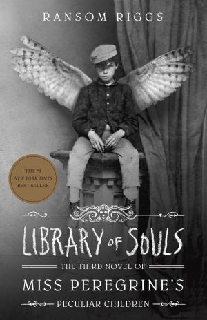 Cover of the book Library of Souls by Robert Schnakenberg