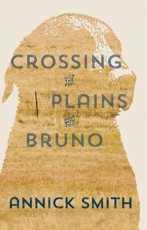 Cover of the book Crossing the Plains with Bruno by Linda Pace, Jan Jarboe Russell, Eleanor Heartney, Kathryn Kanjo
