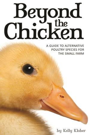 Book cover of Beyond the Chicken