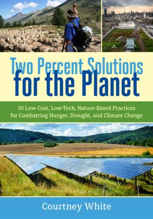 Cover of the book Two Percent Solutions for the Planet by Stephen Leslie