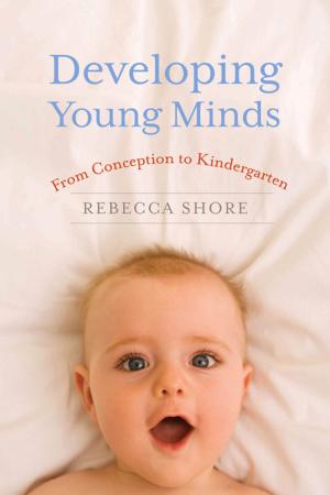 Book cover of Developing Young Minds