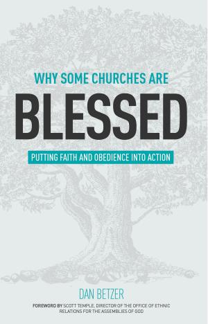 Cover of the book Why Some Churches Are Blessed by Dr. Steve Joel Moffett, Sr.