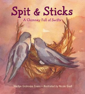 Cover of the book Spit & Sticks by Ruth Spiro