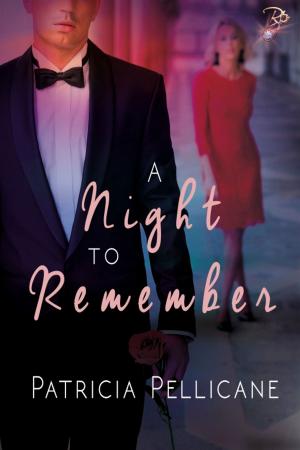 Cover of the book A Night to Remember by Emma Hillman