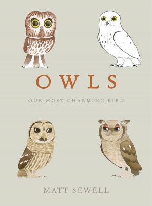 Cover of the book Owls by Brigid Elson