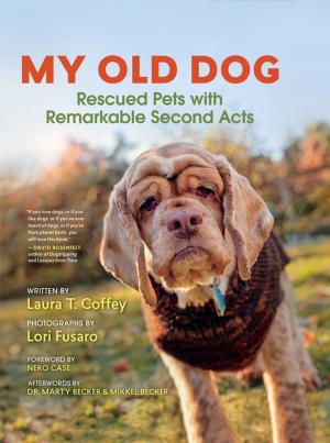 Cover of the book My Old Dog by Shelly Brady