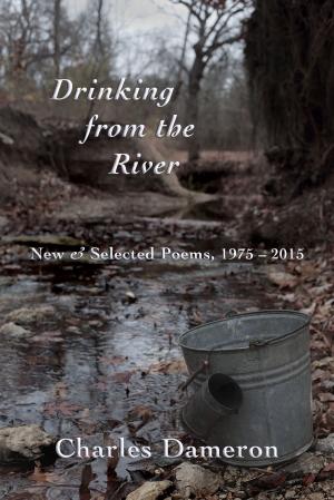 Book cover of Drinking from the River