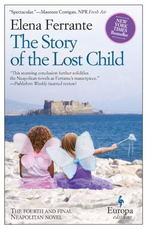 Cover of the book The Story of the Lost Child by Tamsen Wolff