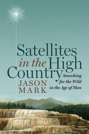 Cover of the book Satellites in the High Country by Rajaram Krishnan