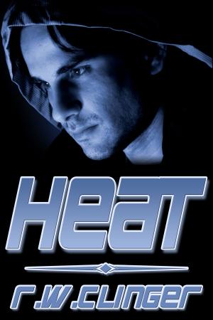 Cover of the book Heat by J.M. Snyder