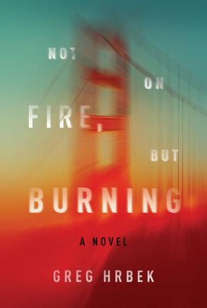 Cover of the book Not on Fire, but Burning by THOMAS S. GOWING