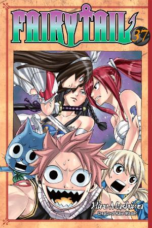 Cover of the book Fairy Tail by Hiro Mashima, BOKU
