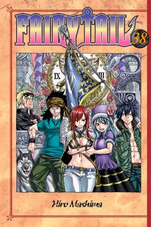Cover of the book Fairy Tail by CLAMP