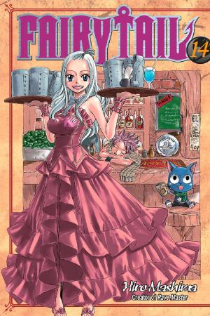 Cover of the book Fairy Tail by Akiko Higashimura