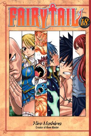 Cover of the book Fairy Tail by Akiko Higashimura