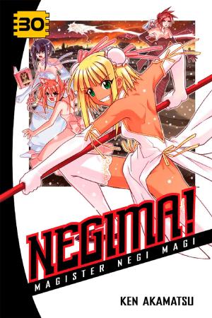 Cover of the book Negima! by Ken Akamatsu