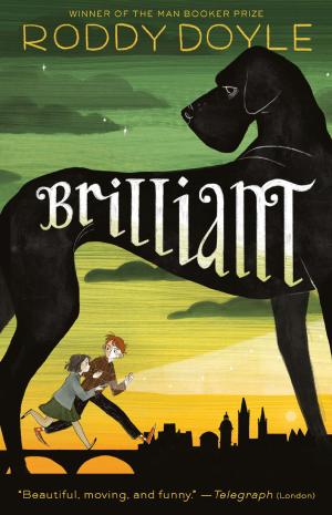 Cover of the book Brilliant by Roderick Kiracofe