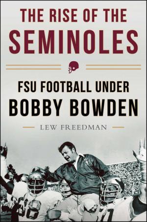 Cover of the book The Rise of the Seminoles by Michael Perry