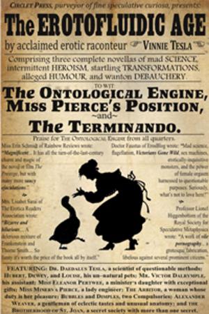 Cover of the book The Erotofluidic Age by H.B. Kurtzwilde, Rian Darcy, D.M. Atkins, Chris Taylor, Raven Kaldera, Jennifer Levine