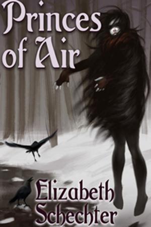 Cover of the book Princes of Air by Lauren P. Burka