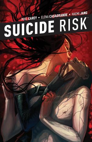 Book cover of Suicide Risk Vol. 5
