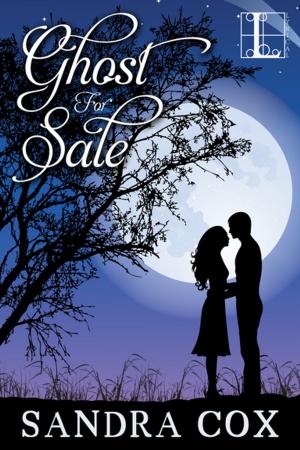 Cover of the book Ghost for Sale by Stephanie Beck