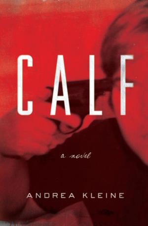 Cover of the book Calf by Helen Park Bigelow
