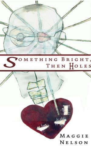 Book cover of Something Bright, Then Holes