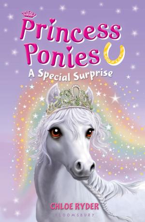 Book cover of Princess Ponies 7: A Special Surprise