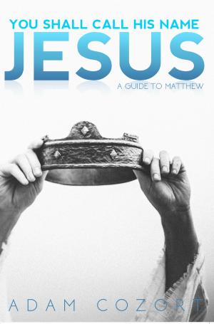 Book cover of You shall call his name jesus