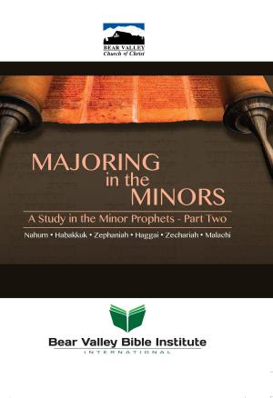 Cover of the book Majoring in the Minors by Leah Hopkins