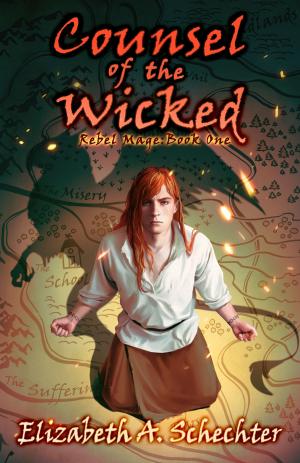 Cover of the book Counsel of the Wicked by Kailin Morgan