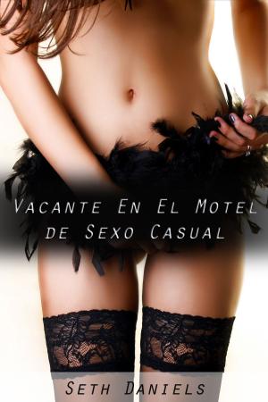 bigCover of the book Vacante En El Motel de Sexo Casual by 