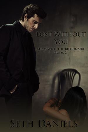 Cover of the book Lost Without You by Mariana Lewis