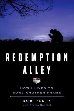 Book cover of Redemption Alley