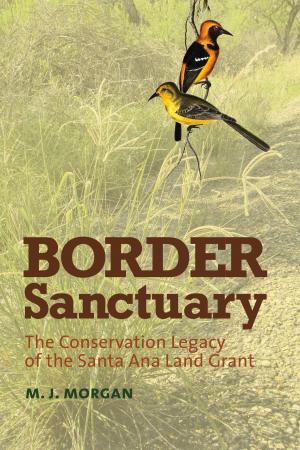 Book cover of Border Sanctuary
