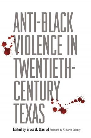 Cover of the book Anti-Black Violence in Twentieth-Century Texas by Rudolph A. Rosen