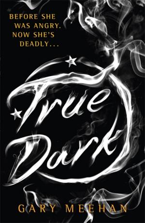 Cover of the book True Dark by David Meckin