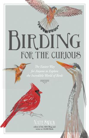 Cover of the book Birding for the Curious by Jay Sinha, Chantal Plamondon