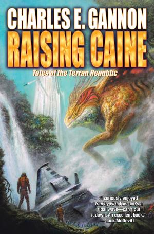 Cover of the book Raising Caine by Jody Lynn Lynn
