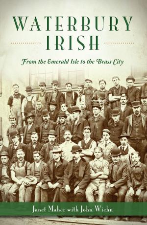Cover of the book Waterbury Irish by Linda Wommack